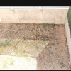 Diseñar Jardín