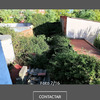 Desbrozar Jardín