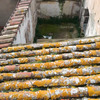 Proyecto y Reforma Vivienda