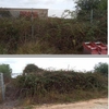 Desbrozar Jardín