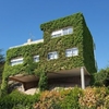 Rehabilitar Fachada Casa (Unifamiliar)