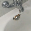 Esmaltar Bañera
