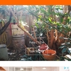 Reforma Vivienda