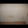 Arreglar Humedades