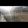 Construir Muro