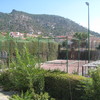Talar árboles