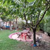 Proyecto y Construcción Piscina