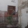Proyecto, construcción , dirección de obra, licencias, informes