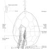 Construcción de sauna (contacto por email)