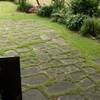 Reforma jardin