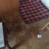 Limpieza integral piso san nicasio