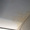 Pintar techo de bano en alicante (cuidad)