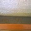 Pintar Interior De Vivienda