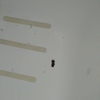 Esmaltar Bañera