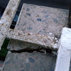 Cambio/reparación de una Baldosa en Terraza en Piso en Alcorcón, Zona Parque Lisboa