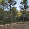 Mantener Jardín