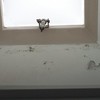 Pequeños Trabajos Albañilería