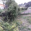 Movimiento de Tierras