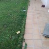 Trabajos varios de albañilería (o reforma)