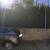 Talar árboles