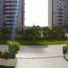 Poner brezo en la valla del jardín de la comunidad, en el barrio valdebebas madrid