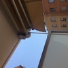 Automatizar Toldo