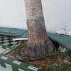 Instalar Toldo Vivienda