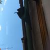 Cambiar Tela Toldo