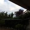 Reparar toldo