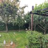 Mantener Jardín