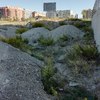 Nivelado del terreno, limpieza y vallado de parcela