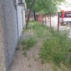 Desbrozar Jardín