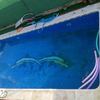 Climatizar piscina