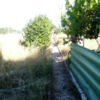 Desbrozar Jardín