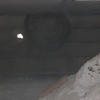 Fumigación o Desinsectación