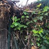Instalar Cercados de malla o similar