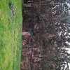 Diseñar Jardín