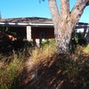 Cortar arbol