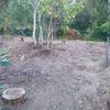 Realizar Puesta a Punto de Jardín