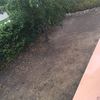 Arreglo jardín en madrid (zona noroeste)