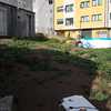 Hacer puesta a punto de jardín