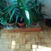 Poner Parquet o Tarima Vivienda (Parcial)