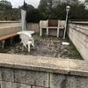 Construir Casa