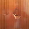 Reparar Carpintería Madera