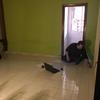 Trabajos varios de albañilería (o reforma)