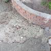Nivelado solera acceso a vivienda unifamiliar