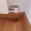 Otros Trabajos De Parquet