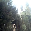 Desbrozar Jardín