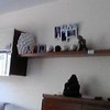 Pintar Interior De Vivienda