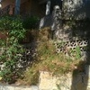 Jardineria